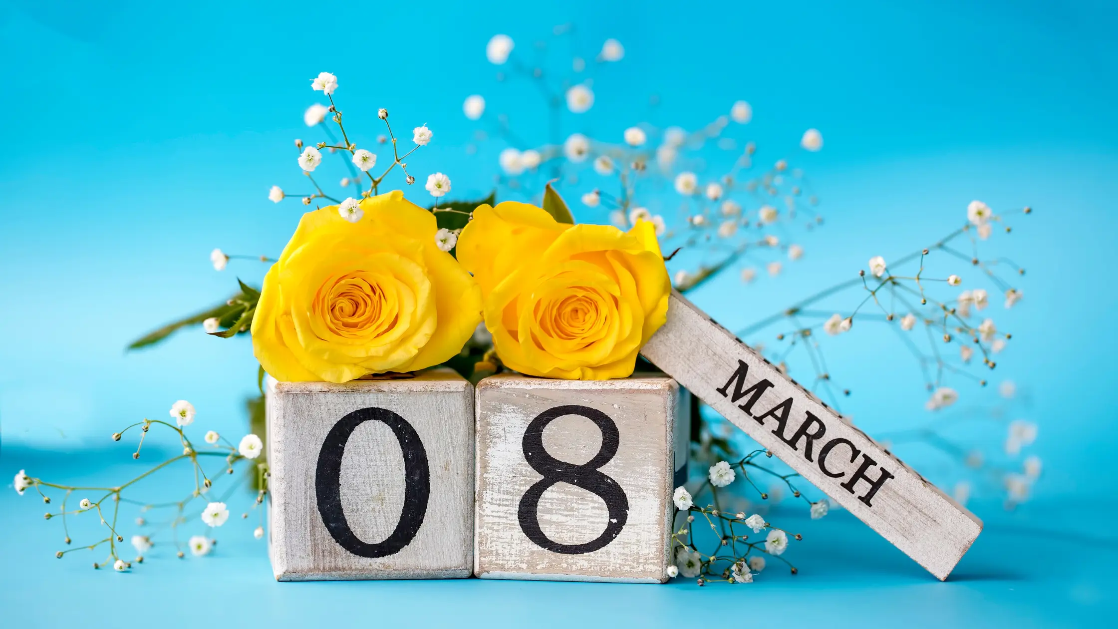 Internationaler Frauentag: Wir feiern die Kraft und die Arbeit der Frauen